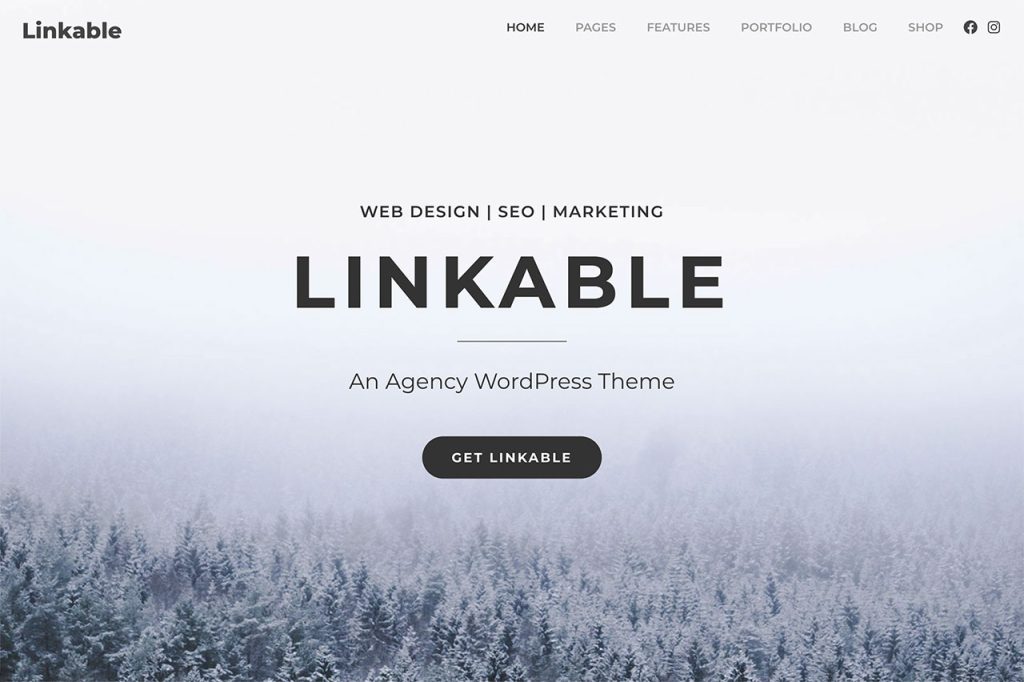 Classic Agency WordPress Theme